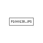 P1000138.JPG